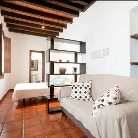 Apartamento Centro Historico A Pies De La Alhambra Granada